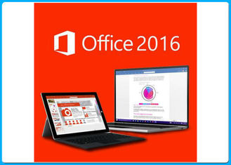 Microsoft Office Professional 2016 Pro Plus 2016 dla systemu Windows z 3.0 USB
